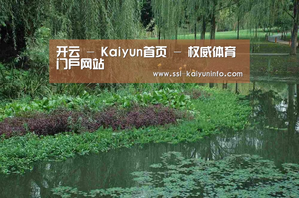 案例展示一(图1)