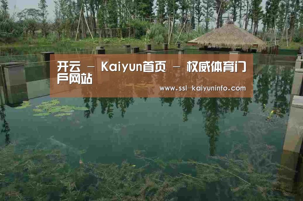 案例展示二(图1)