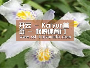 产品名称二