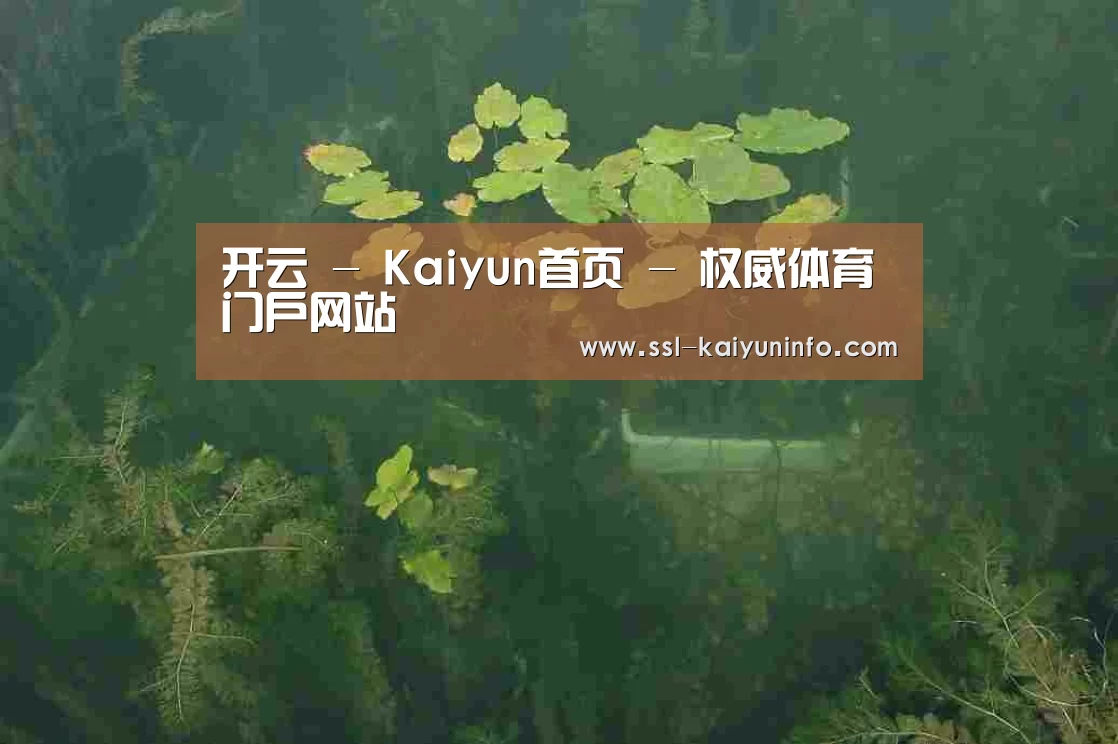 案例展示三