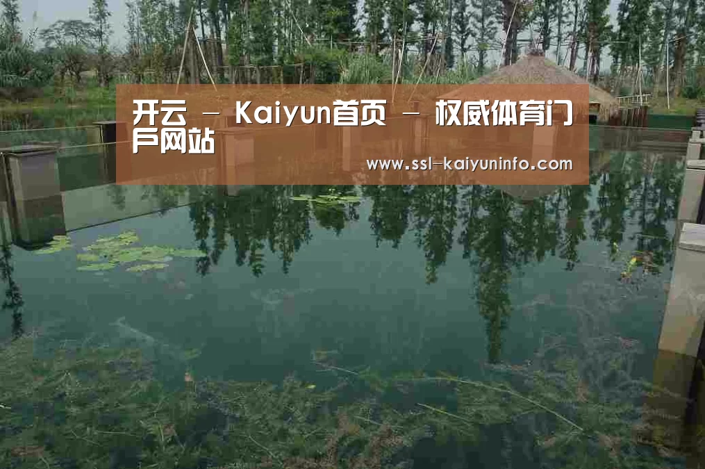 案例展示二