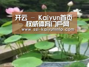 产品名称一