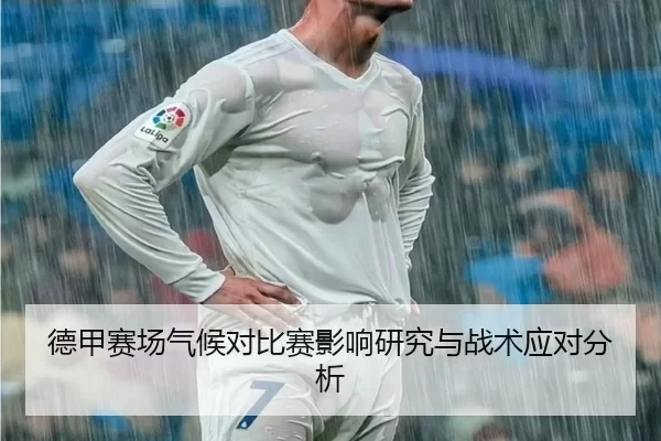 德甲赛场气候对比赛影响研究与战术应对分析