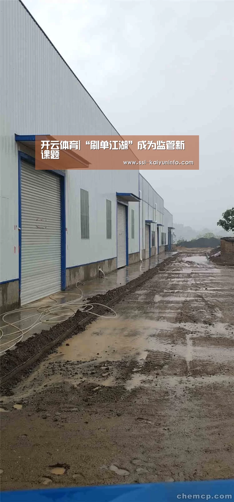 开云体育|“刷单江湖”成为监管新课题(图2) 开云体育官网